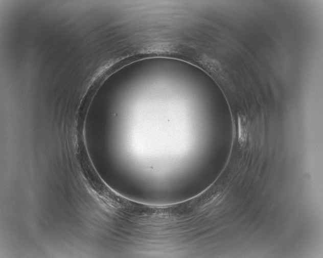X0000061720204200512021348