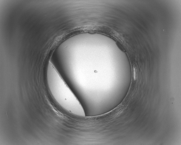 X0000061720205200512021348