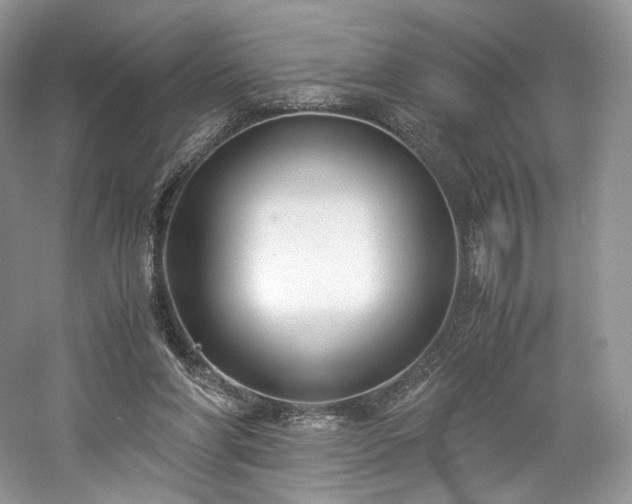 X0000061720206200512021348