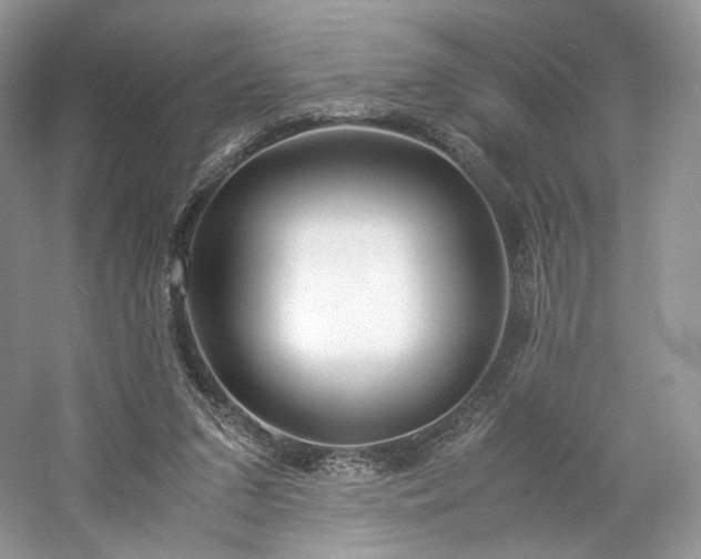 X0000061720207200512021348