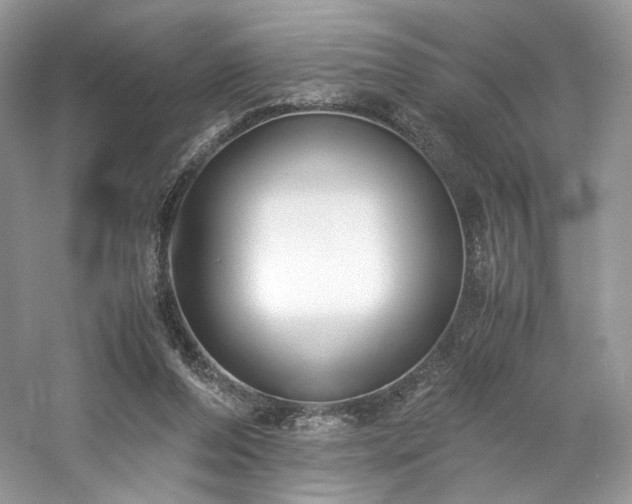 X0000061720208200512021348