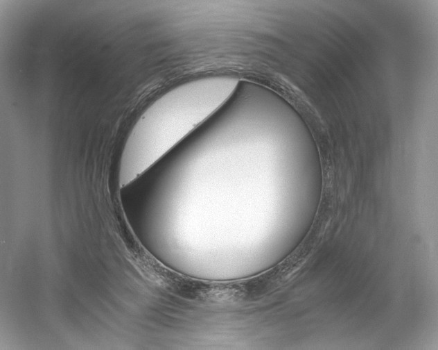 X0000061720209200512021348