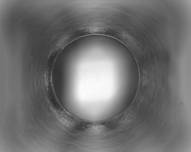 X0000061720210200512021348