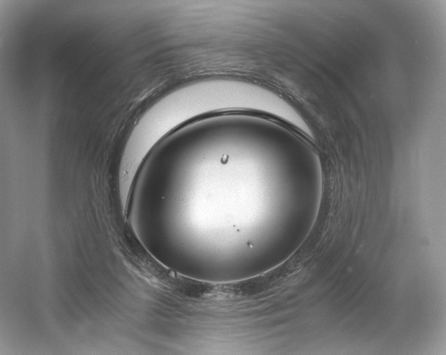 X0000061720211200512021348