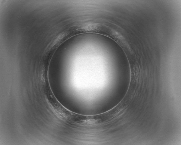 X0000061720212200512021348
