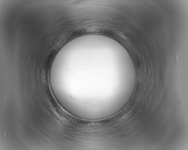 X0000061720213200512021348