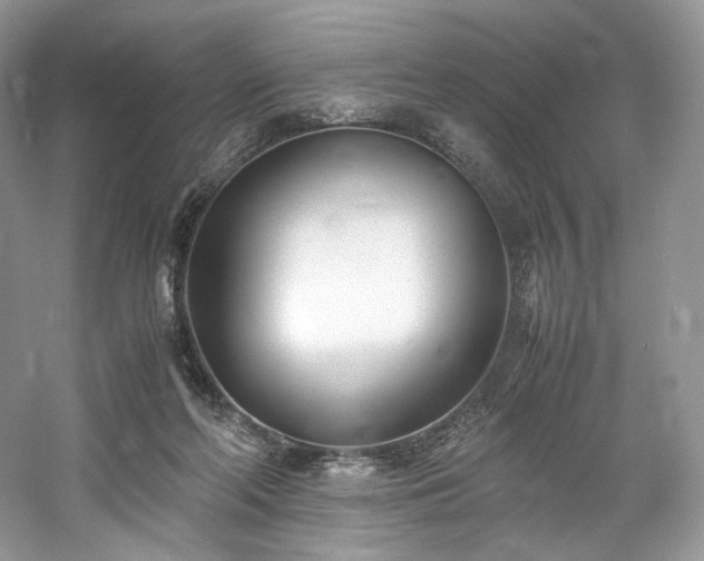 X0000061720214200512021348