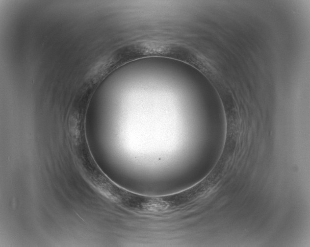 X0000061720215200512021348