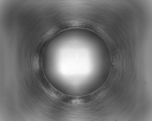 X0000061720216200512021348