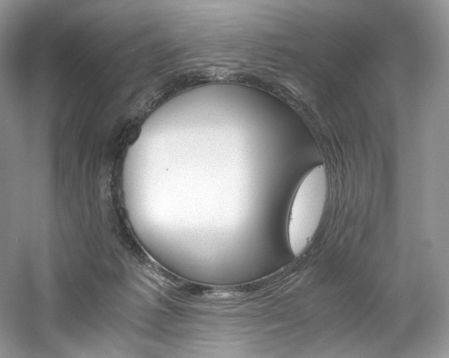 X0000061720221200512021348