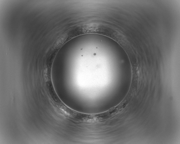 X0000061720224200512021348