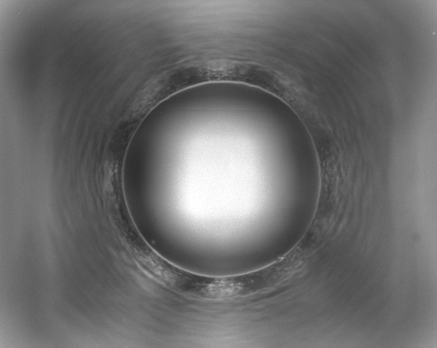 X0000061720225200512021348