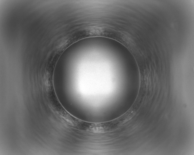 X0000061720228200512021348