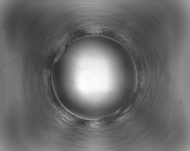 X0000061720229200512021348