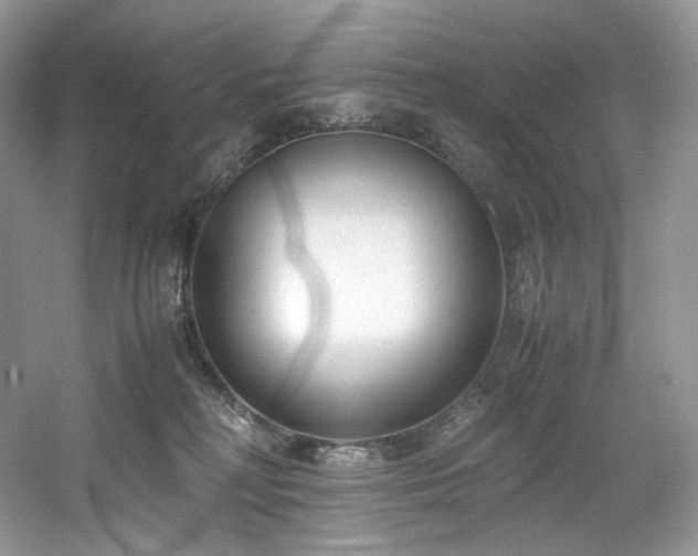 X0000061720230200512021348