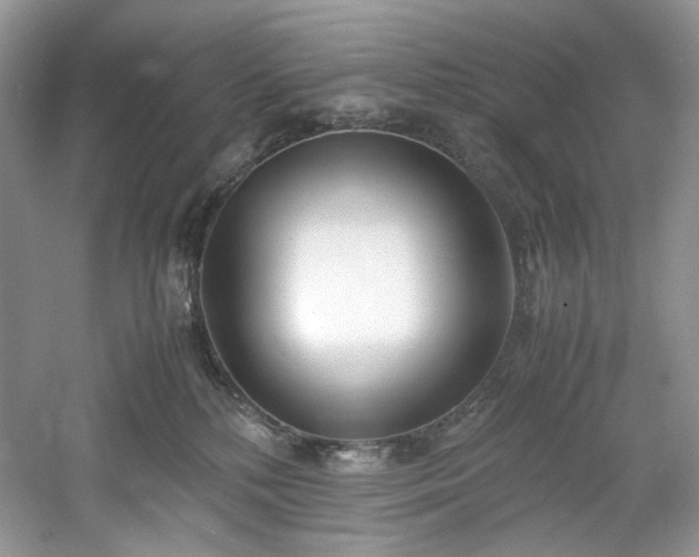 X0000061720232200512021347