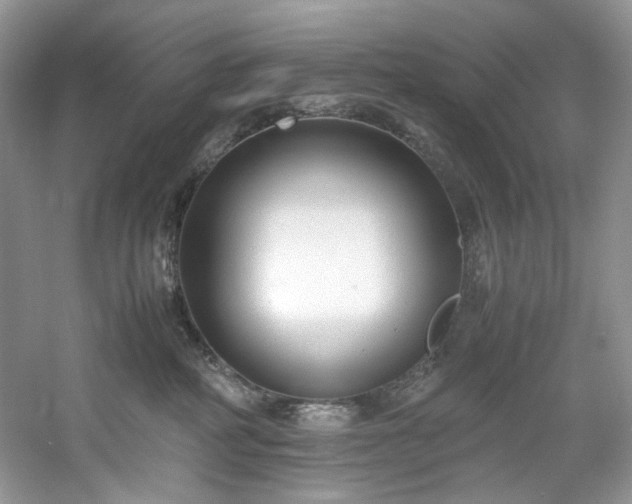 X0000061720234200512021347