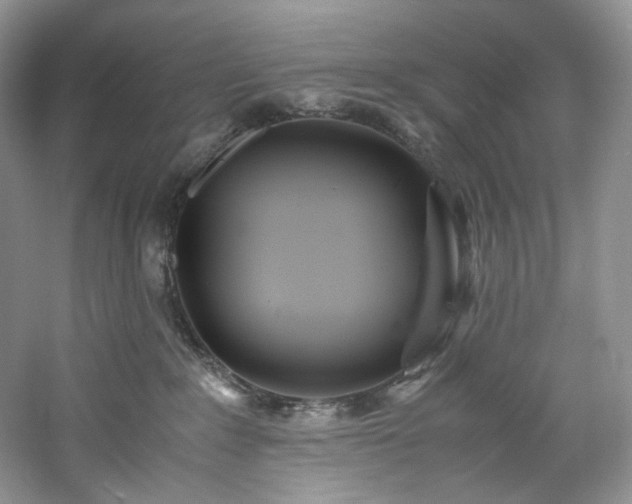 X0000061720235200512021347