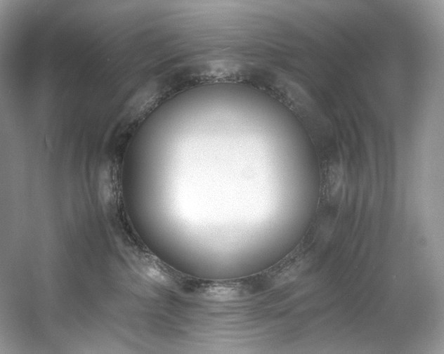 X0000061720236200512021347
