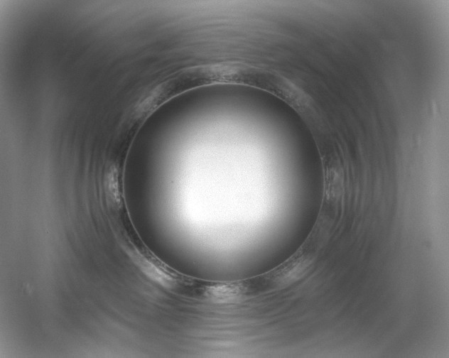 X0000061720238200512021347