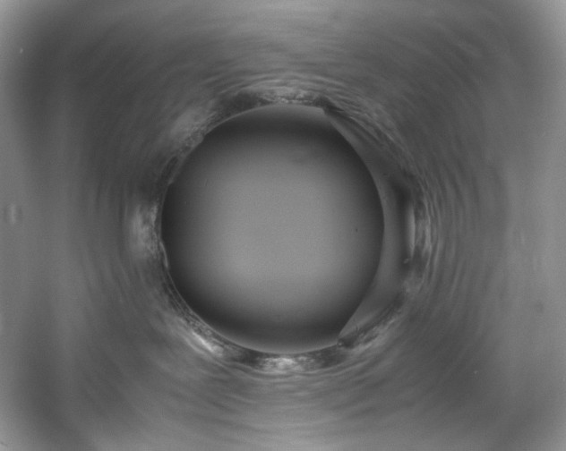 X0000061720239200512021347