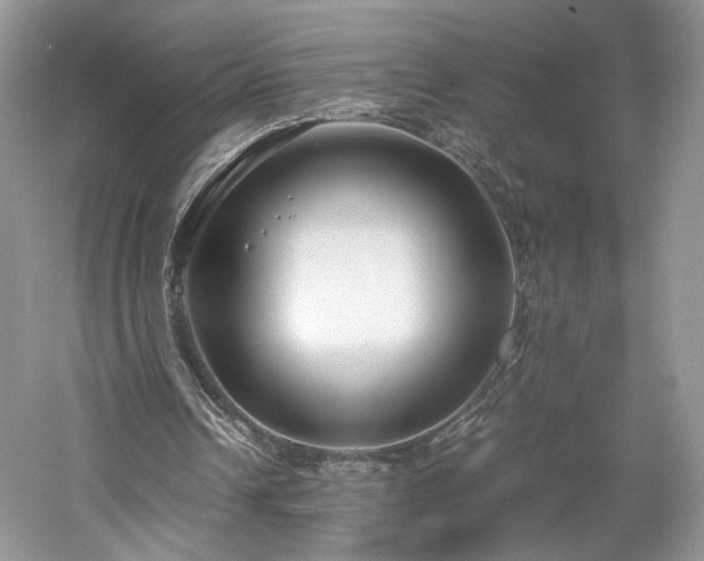 X0000061720242200512021347