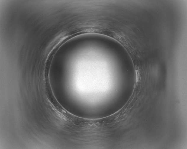 X0000061720243200512021347