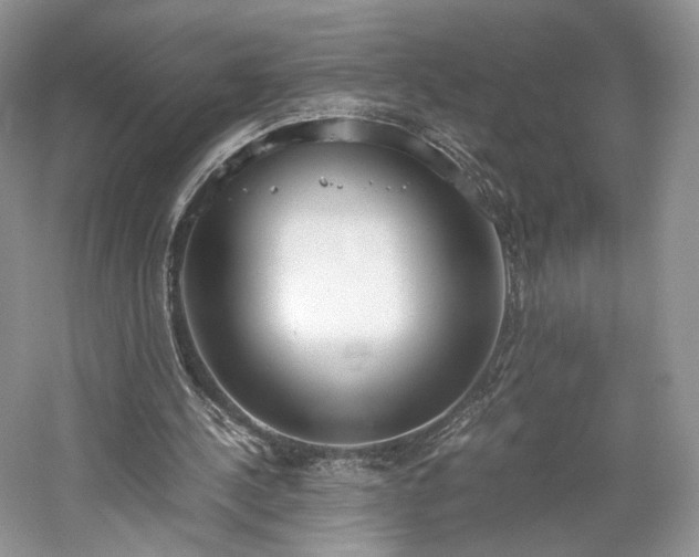 X0000061720244200512021347