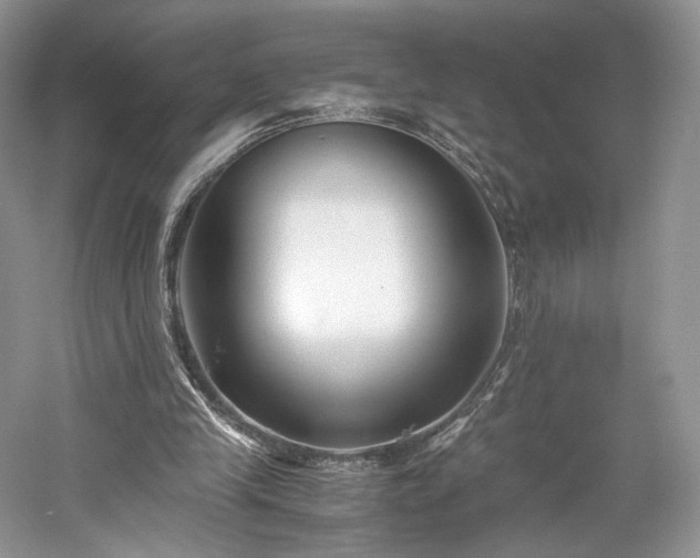 X0000061720245200512021347