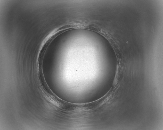 X0000061720246200512021347