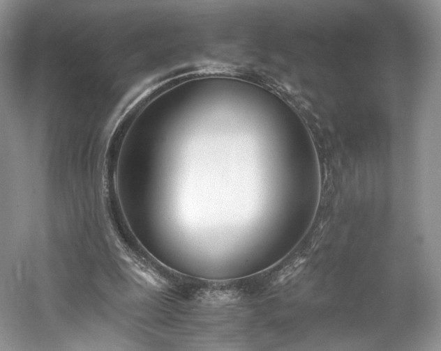 X0000061720247200512021347