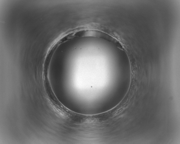 X0000061720248200512021347