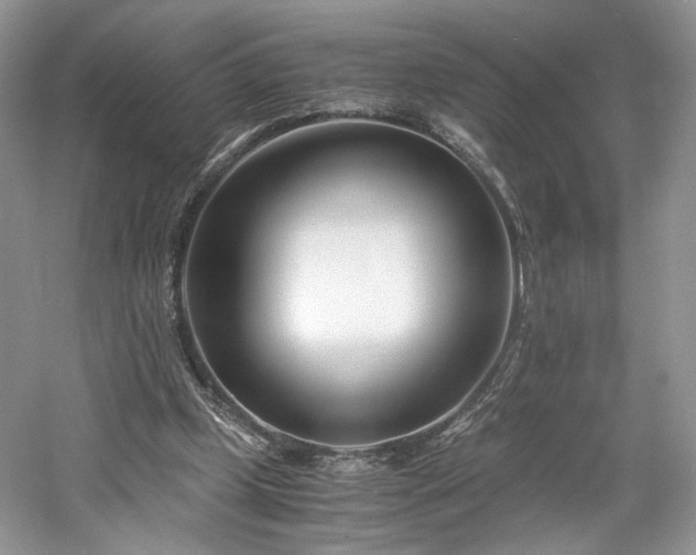 X0000061720249200512021347