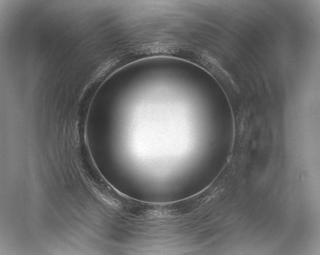 X0000061720250200512021347