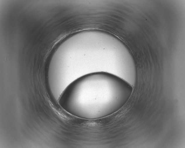 X0000061720253200512021347
