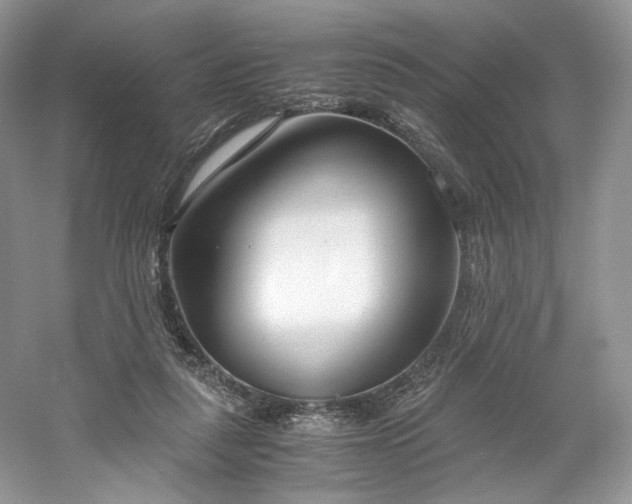 X0000061720259200512021347