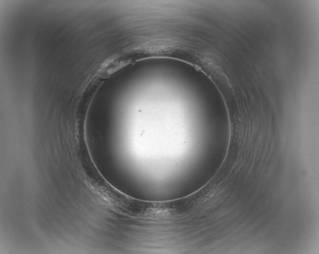 X0000061720260200512021347