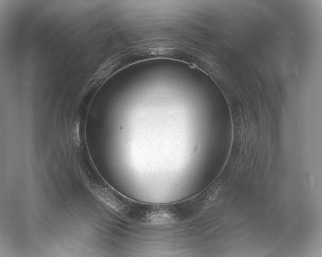 X0000061720262200512021347
