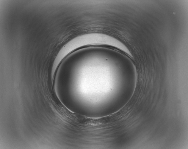 X0000061720263200512021347