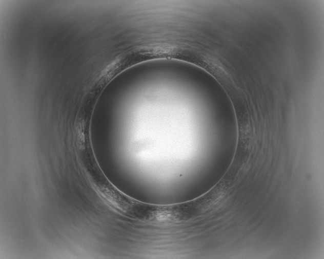 X0000061720264200512021347