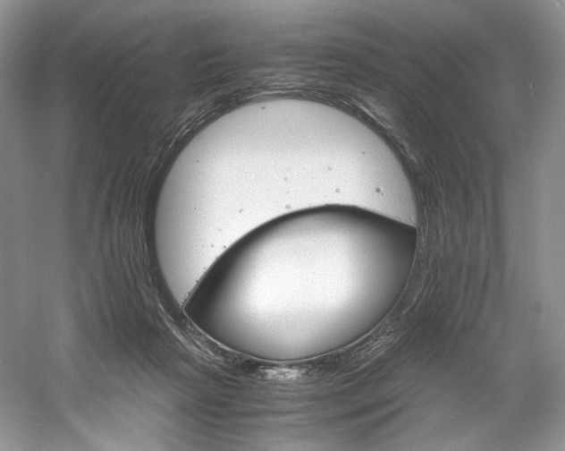 X0000061720265200512021347
