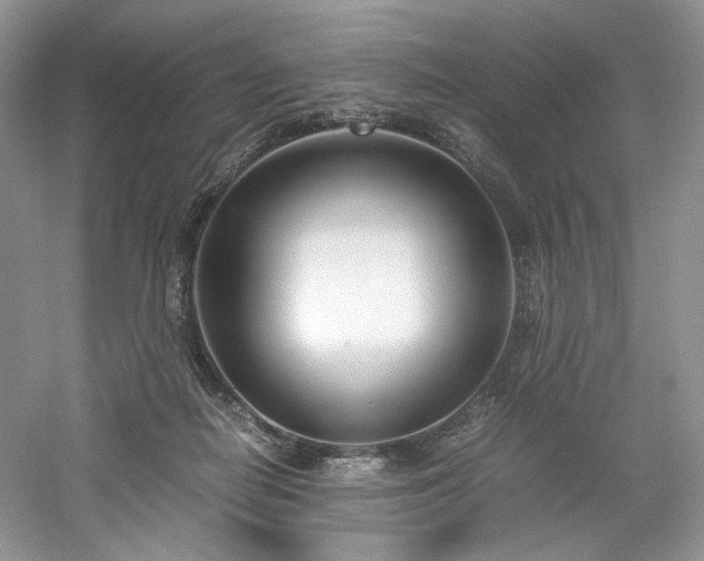 X0000061720266200512021347
