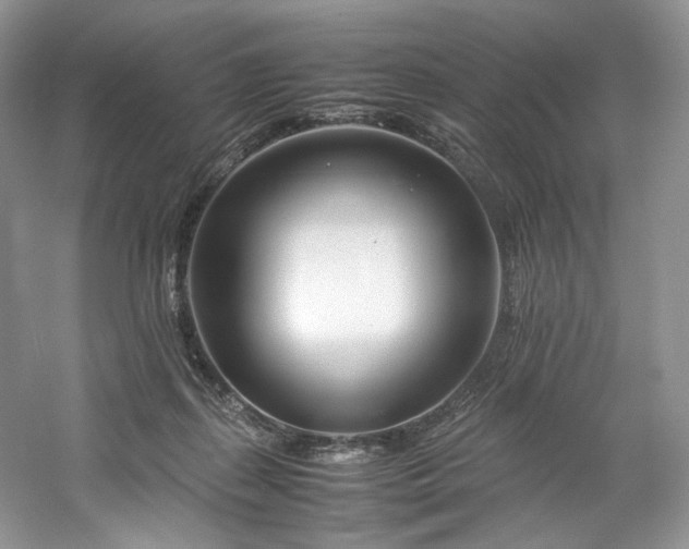 X0000061720267200512021347