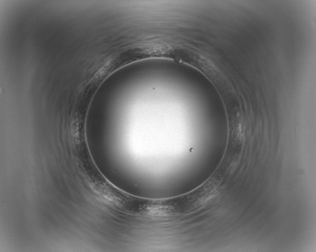 X0000061720268200512021347