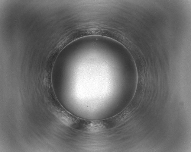 X0000061720270200512021347