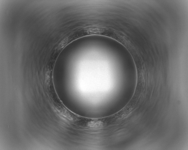 X0000061720271200512021347