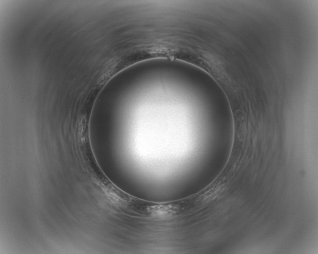 X0000061720273200512021347