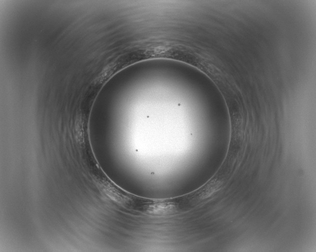 X0000061720274200512021347