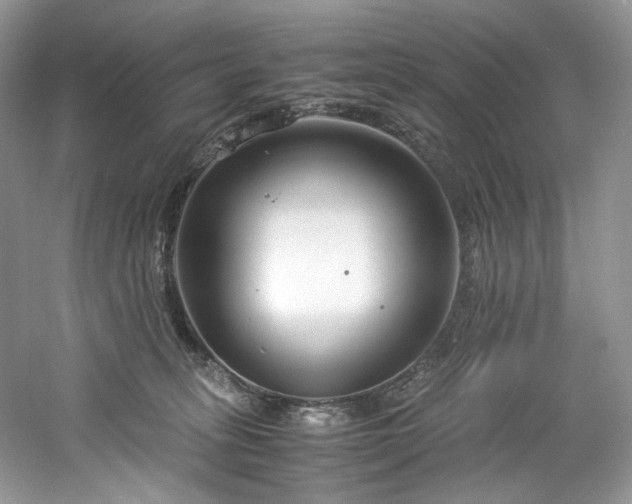 X0000061720275200512021347