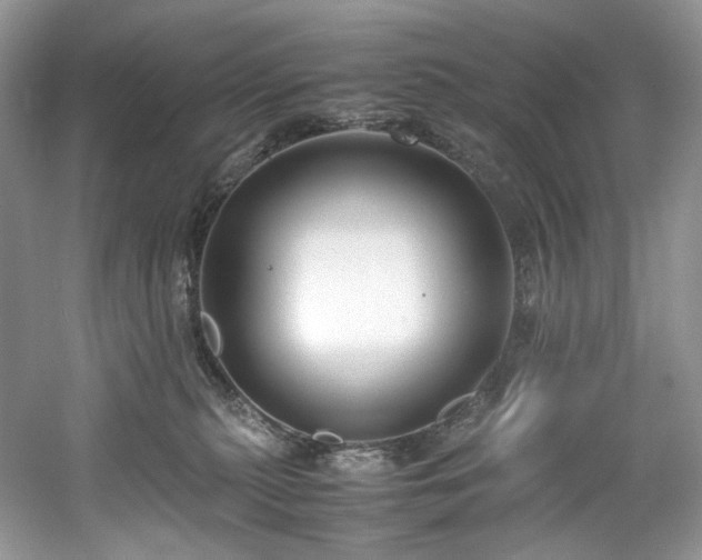 X0000061720279200512021347